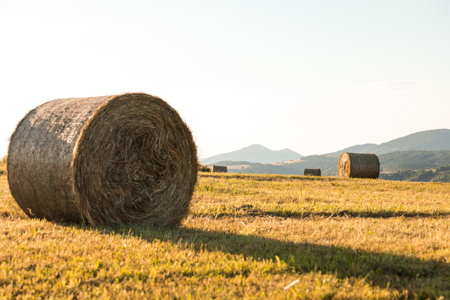 Round Baler Belt
