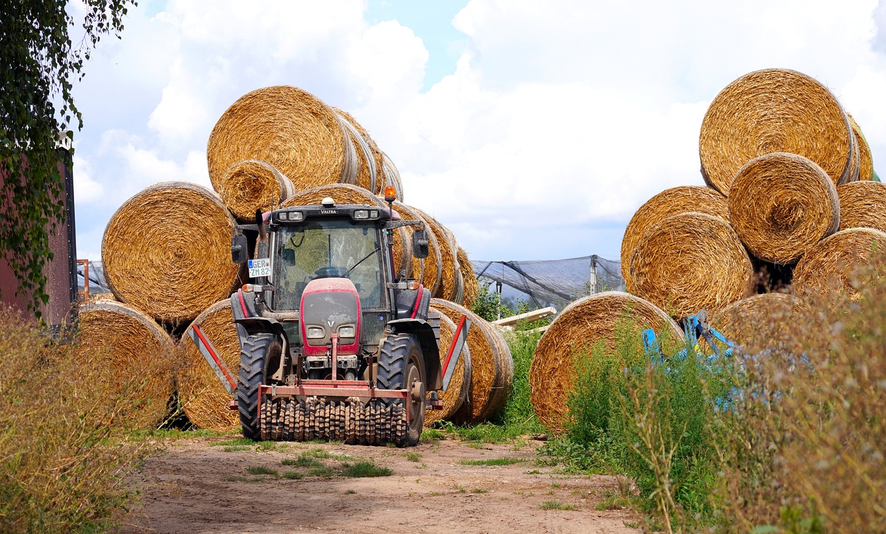 Baler Belts